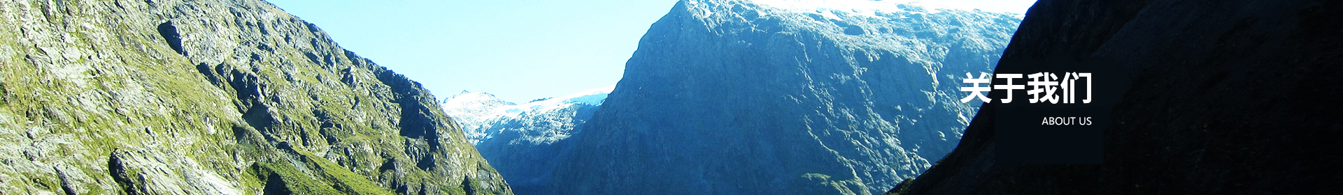 关于我们